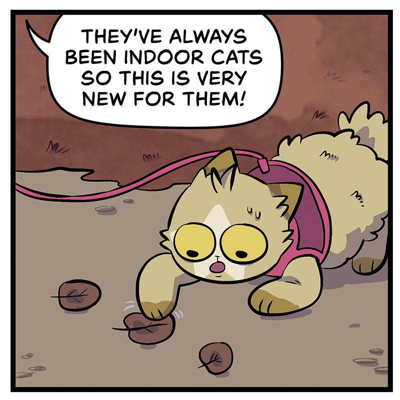 https://cdn-dev.tinyview.com/bite-subscribe/2021/11/16/episode-4-walking-the-cats/Bite004_Panel2.jpg