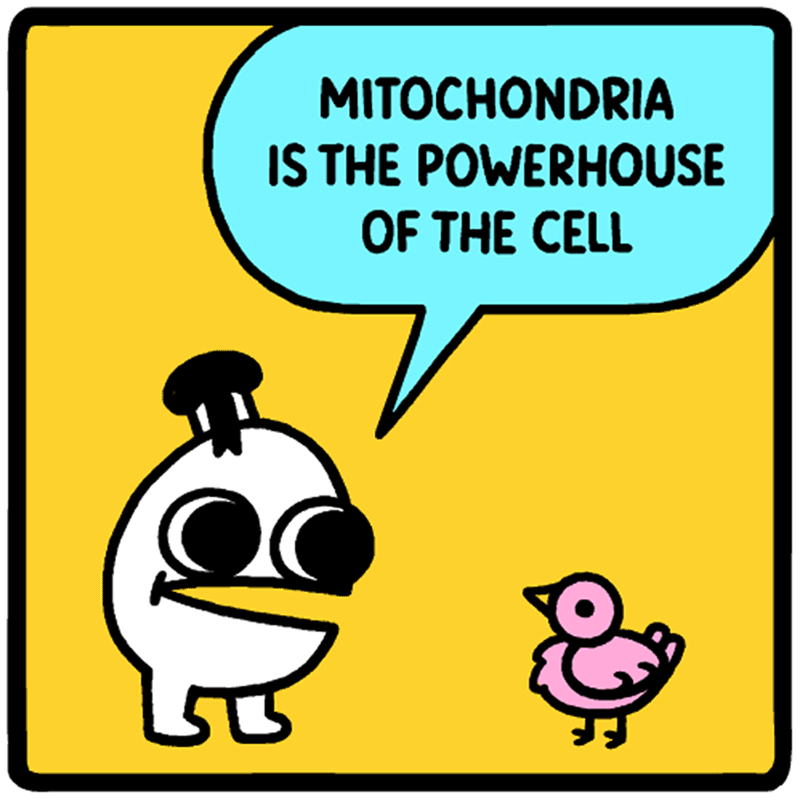 https://cdn-dev.tinyview.com/eggs-n-ben/2023/10/30/knowledge-is-power/b_0030_Neighborhood-Land-Knowledge-is-Power-Comic.png