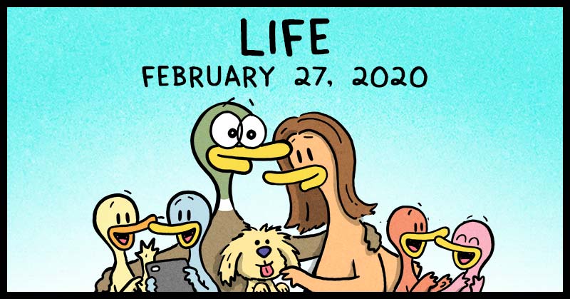 https://cdn-dev.tinyview.com/fowl-language/2020-02-27-life/fowl-language-header.jpg