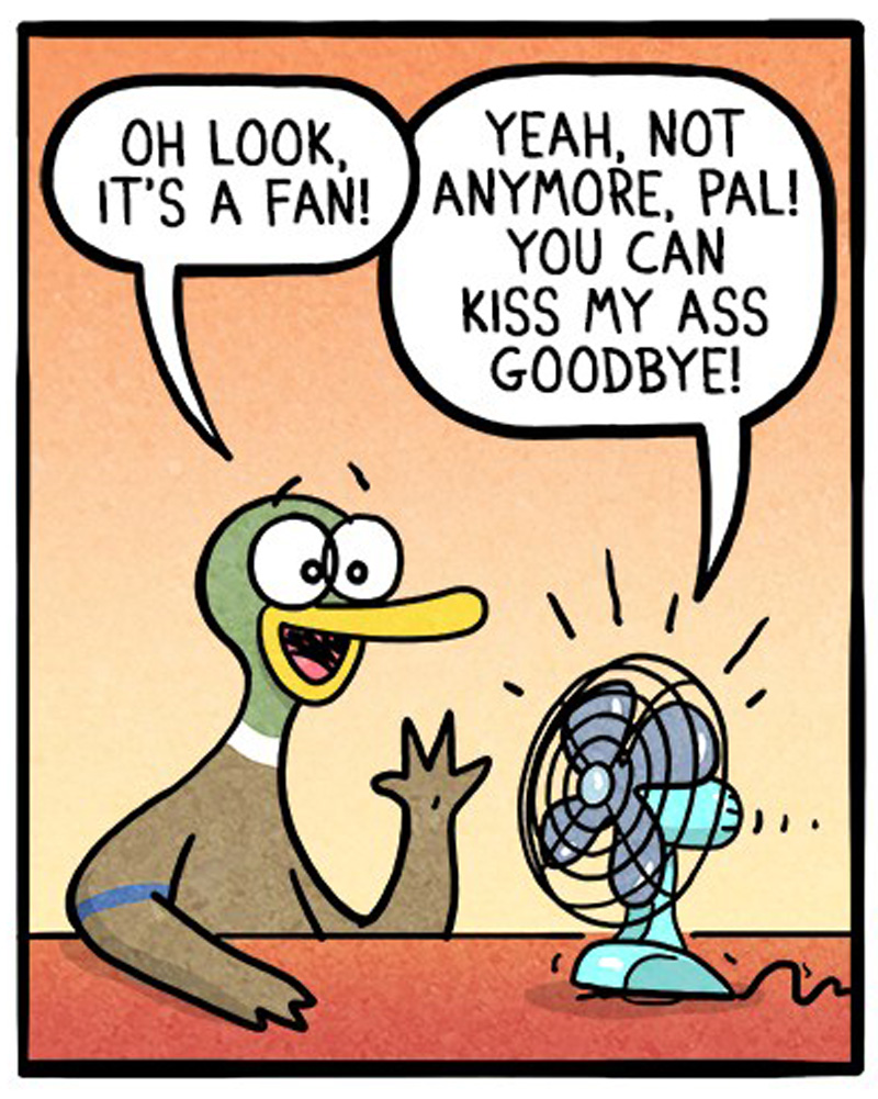https://cdn-dev.tinyview.com/fowl-language/2020-06-18-big-fan/fowl-language_01.jpg