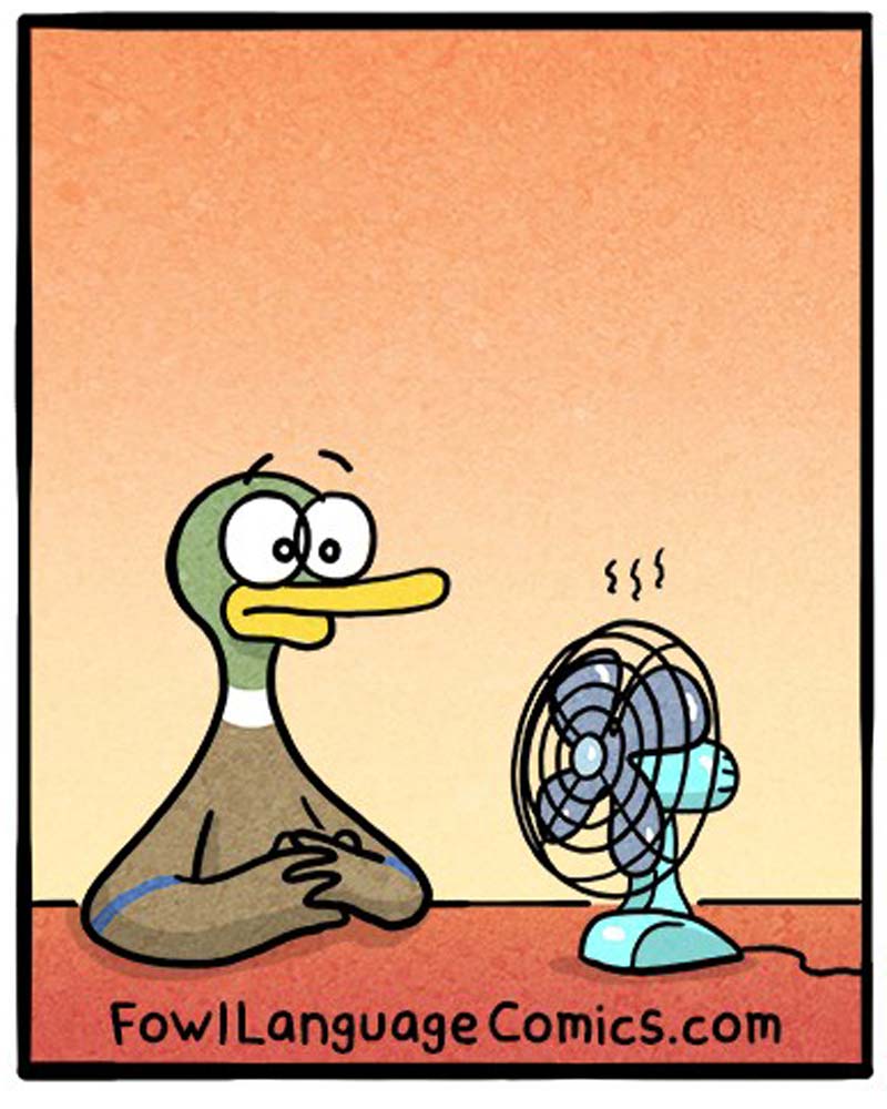 https://cdn-dev.tinyview.com/fowl-language/2020-06-18-big-fan/fowl-language_03.jpg