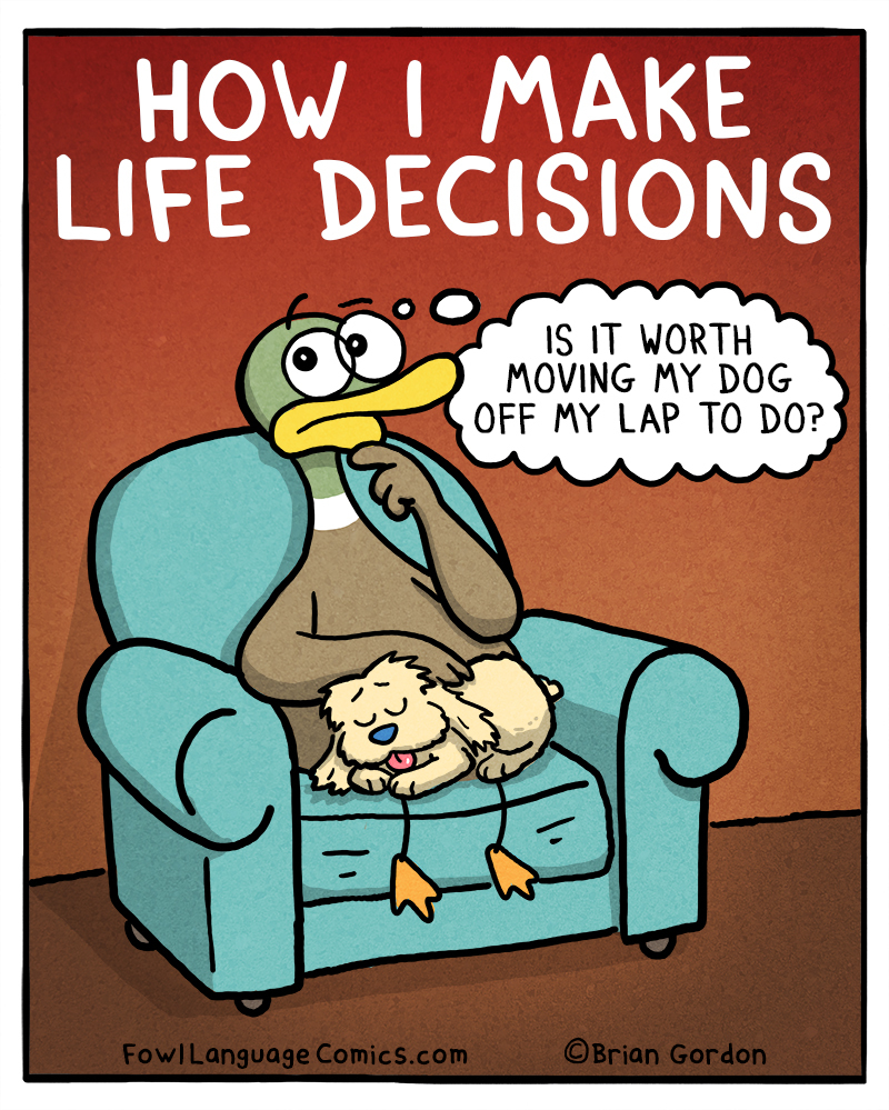 https://cdn-dev.tinyview.com/fowl-language/2020-08-28-life-decisions/life-decisions.jpg