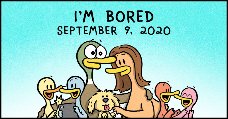 https://cdn-dev.tinyview.com/fowl-language/2020-09-09-bored/fowl-language-header.jpg