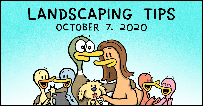 https://cdn-dev.tinyview.com/fowl-language/2020-10-07-landscaping-tips/fowl-language-header.jpg