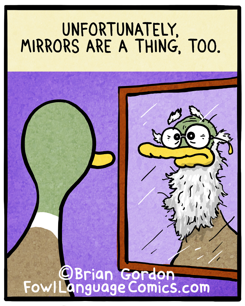 https://cdn-dev.tinyview.com/fowl-language/2020-11-22-getting-older/getting-older-2.jpg