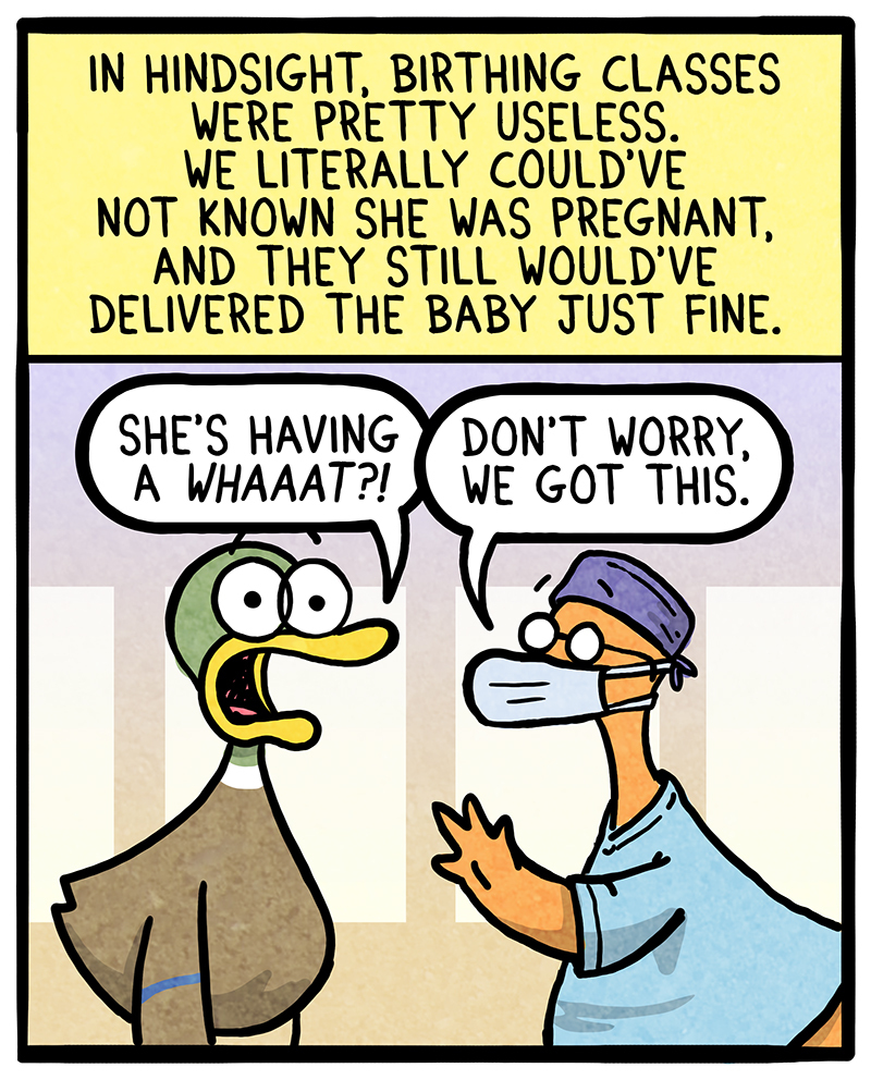 https://cdn-dev.tinyview.com/fowl-language/2021-02-04-birthing-classes/birthing-classes-1.jpg