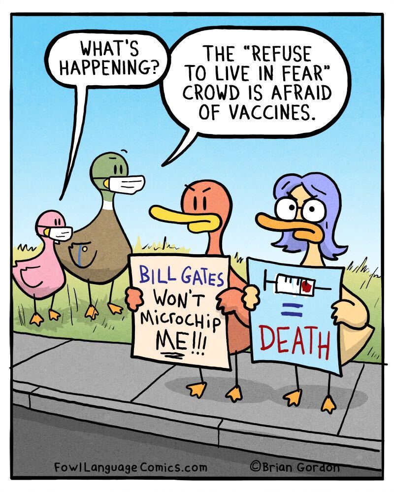 https://cdn-dev.tinyview.com/fowl-language/2021/04/21/vax-fears/vax-fears.jpg