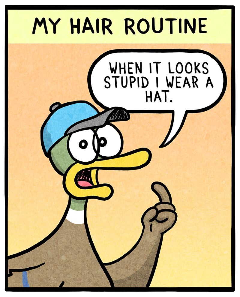 https://cdn-dev.tinyview.com/fowl-language/2021/05/08/hair-routines/hair-routine-2.jpg