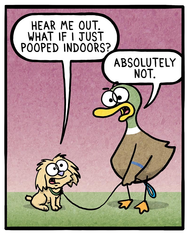 https://cdn-dev.tinyview.com/fowl-language/2021/06/01/dogs-and-rain/dogs-and-rain-2.jpg
