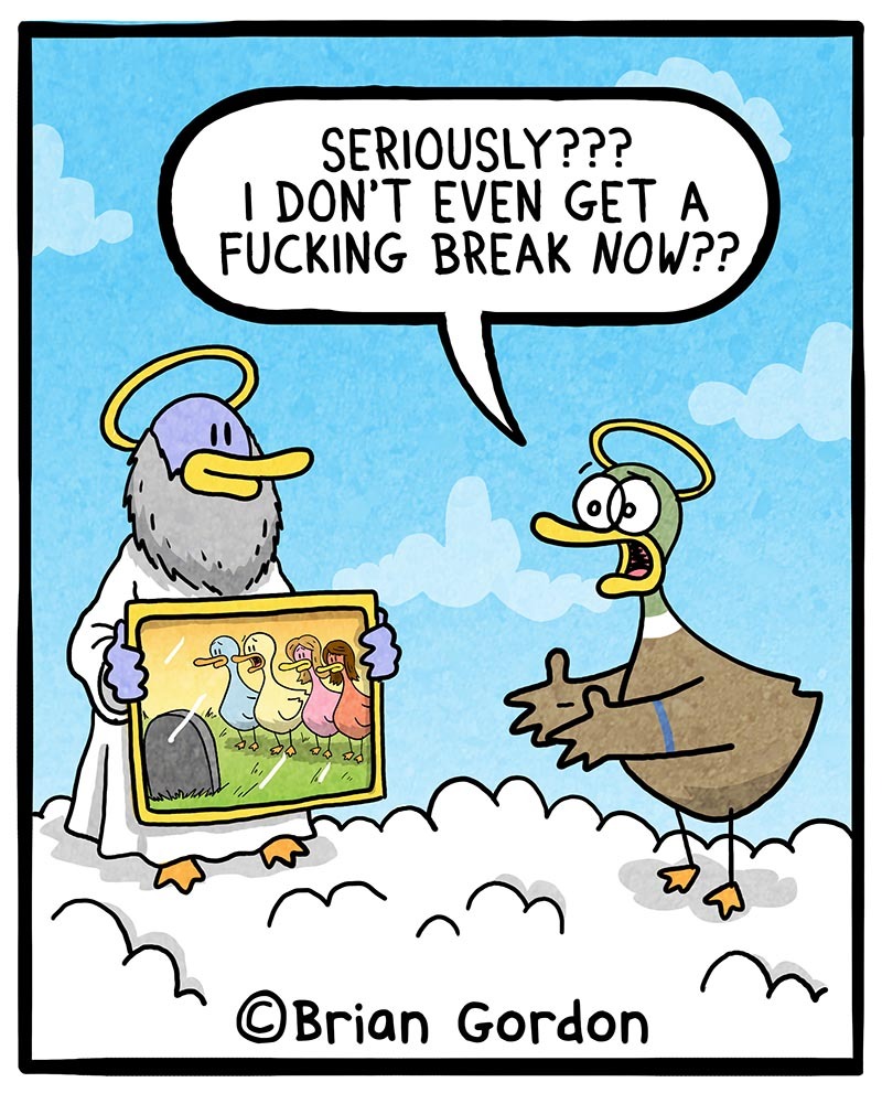 https://cdn-dev.tinyview.com/fowl-language/2021/12/17/guardian-angel/guardian-angel-2.jpg