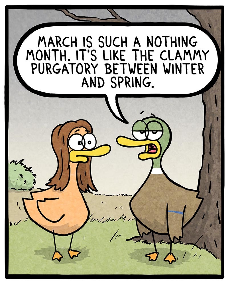 https://cdn-dev.tinyview.com/fowl-language/2022/03/04/stupid-march/stupid-march-1.jpg