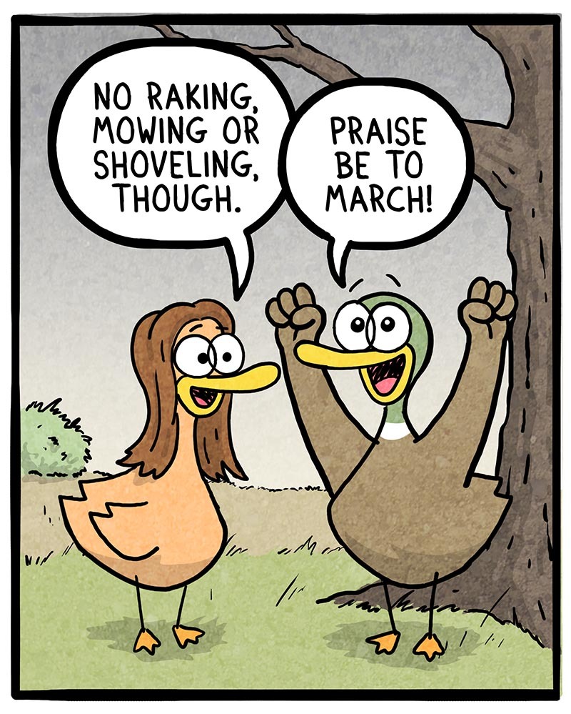 https://cdn-dev.tinyview.com/fowl-language/2022/03/04/stupid-march/stupid-march-2.jpg