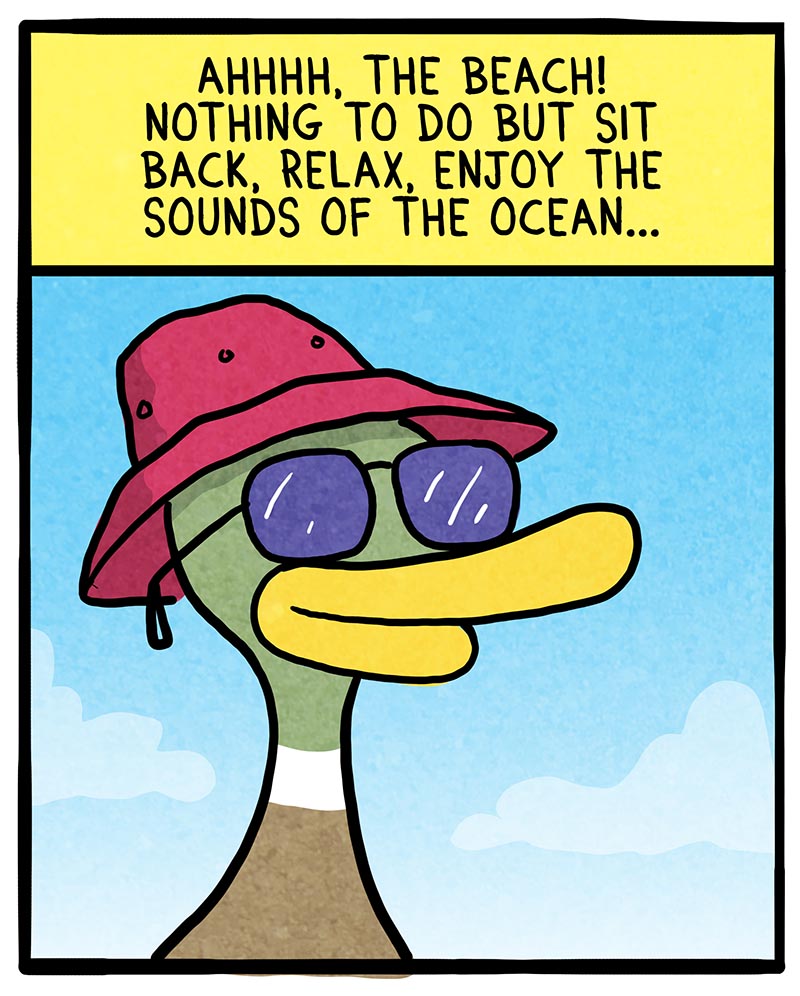 https://cdn-dev.tinyview.com/fowl-language/2022/06/08/fun-at-the-beach/fun-at-the-beach-1.jpg