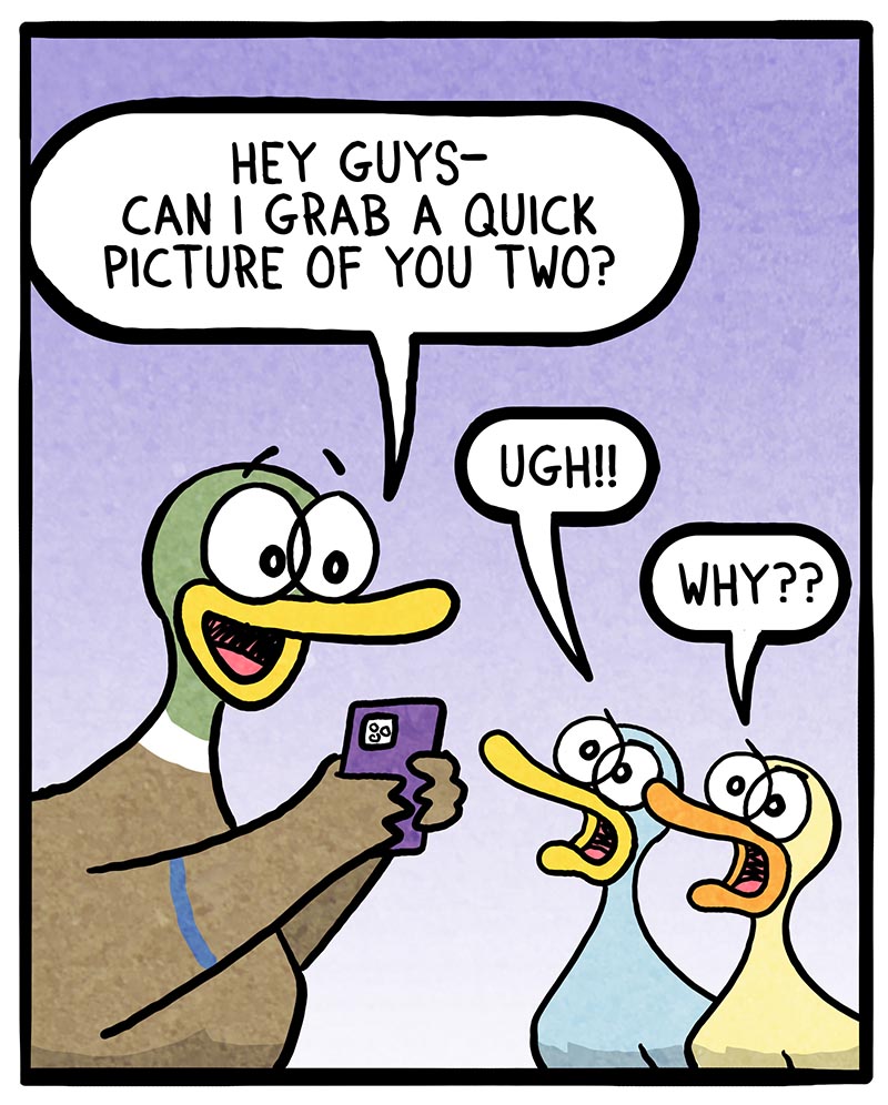 https://cdn-dev.tinyview.com/fowl-language/2022/09/30/picture-complaints/picture-complaints-1.jpg