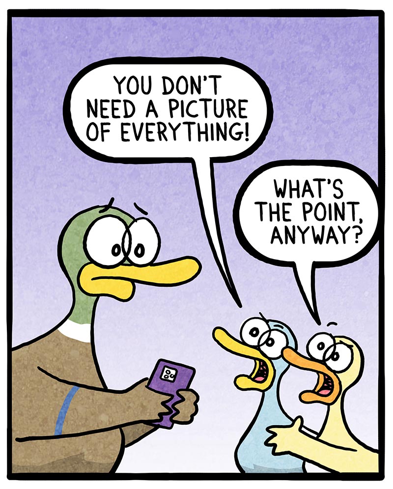 https://cdn-dev.tinyview.com/fowl-language/2022/09/30/picture-complaints/picture-complaints-2.jpg