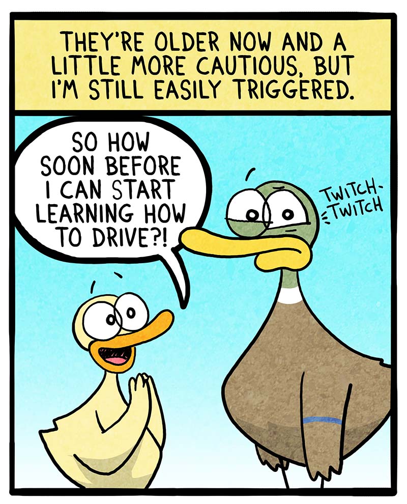 https://cdn-dev.tinyview.com/fowl-language/2022/12/07/keeping-them-from-harm/keeping-them-from-harm-2.jpg