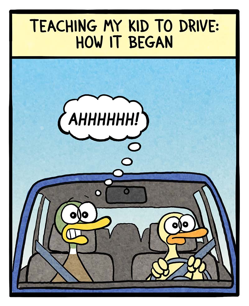 https://cdn-dev.tinyview.com/fowl-language/2023/09/17/driving-lessons/driving-lessons-1.jpg