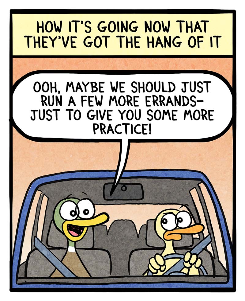 https://cdn-dev.tinyview.com/fowl-language/2023/09/17/driving-lessons/driving-lessons-2.jpg