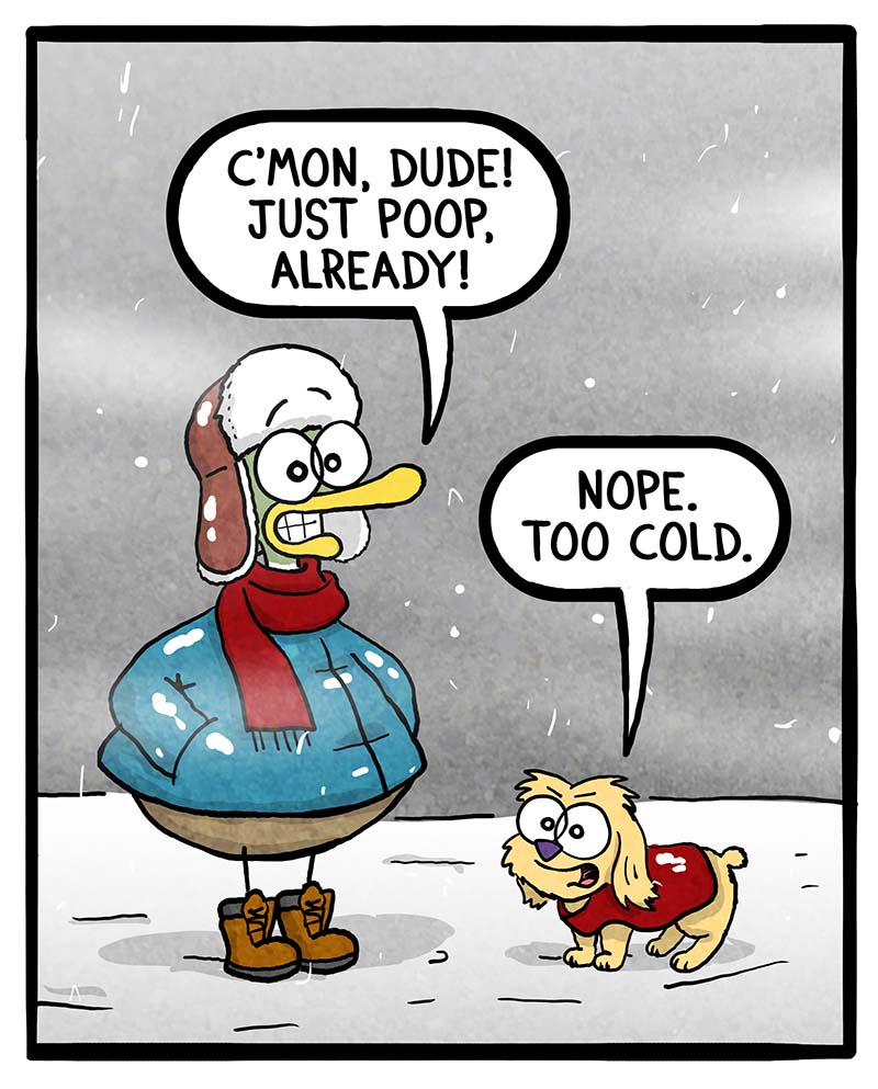 https://cdn-dev.tinyview.com/fowl-language/2024/01/19/winter-pooping/winter-pooping-1.jpg