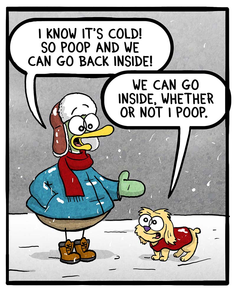 https://cdn-dev.tinyview.com/fowl-language/2024/01/19/winter-pooping/winter-pooping-2.jpg