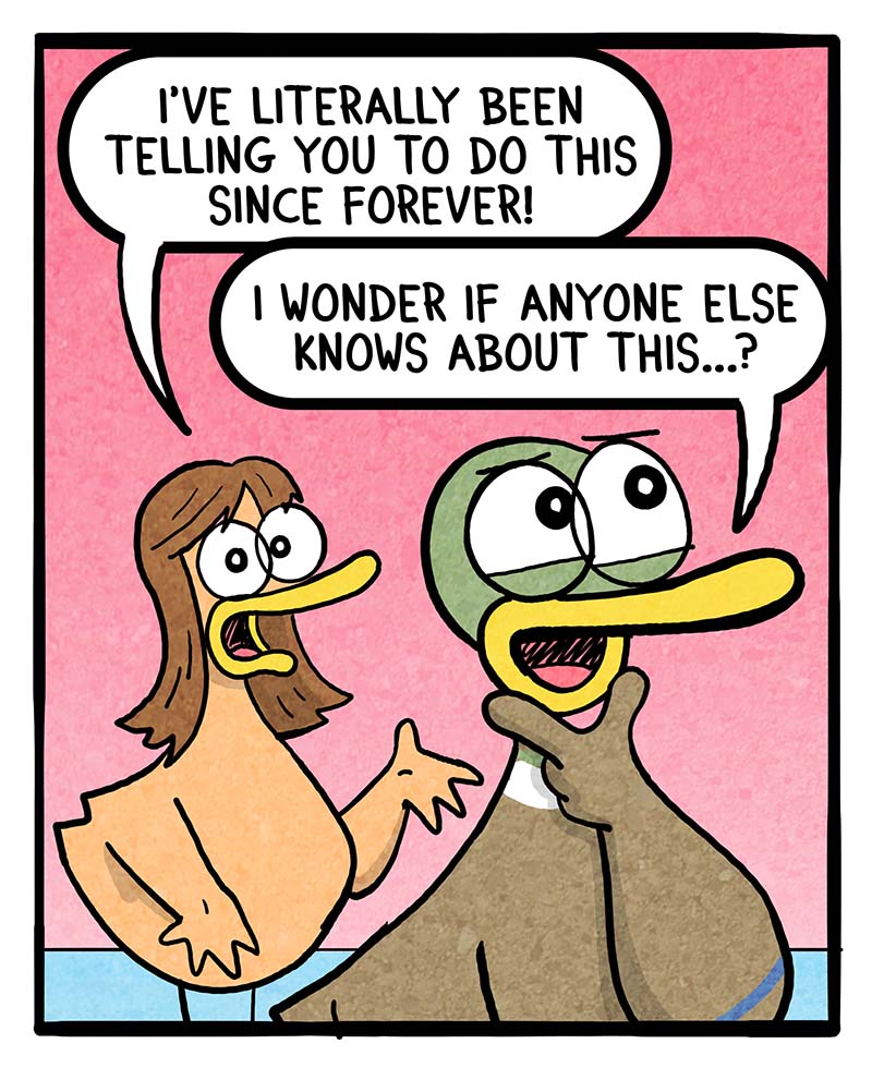 https://cdn-dev.tinyview.com/fowl-language/2024/07/01/a-new-approach/A-New-Approach-2.jpg