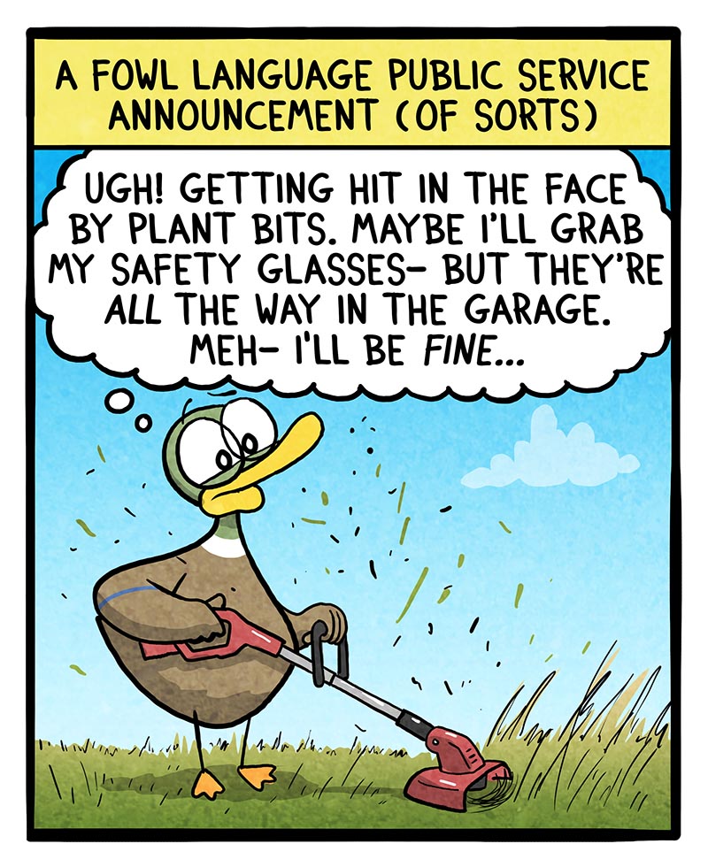 https://cdn-dev.tinyview.com/fowl-language/2024/08/19/safety-tip/safety-tip-1.jpg