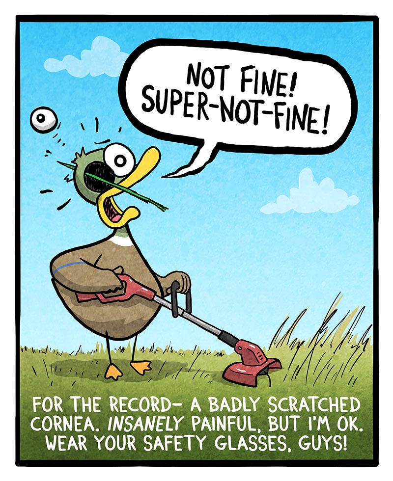 https://cdn-dev.tinyview.com/fowl-language/2024/08/19/safety-tip/safety-tip-2.jpg
