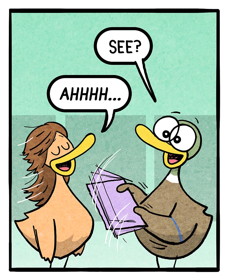 https://cdn-dev.tinyview.com/fowl-language/2024/08/21/perimenopause/perimenopause-2.jpg