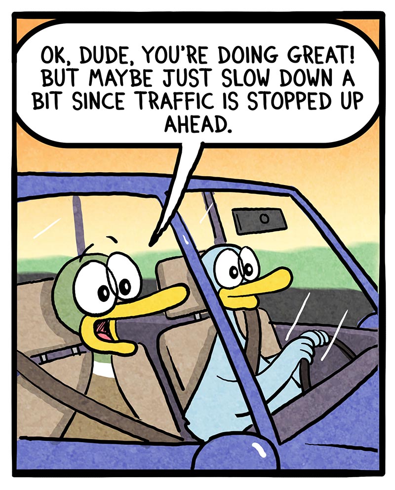 https://cdn-dev.tinyview.com/fowl-language/2024/08/28/driving-lesson/driving-lesson-1.jpg