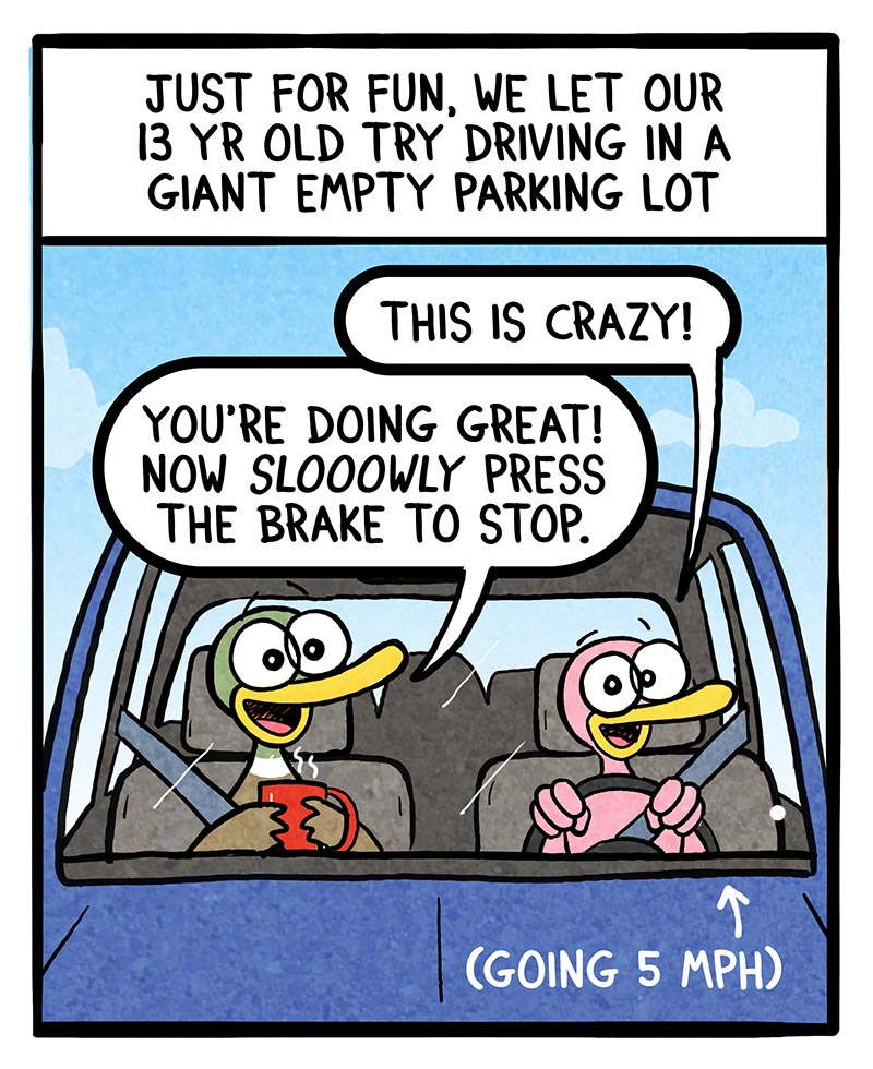 https://cdn-dev.tinyview.com/fowl-language/2024/09/23/first-driving-lesson/First-driving-lesson-1.jpg