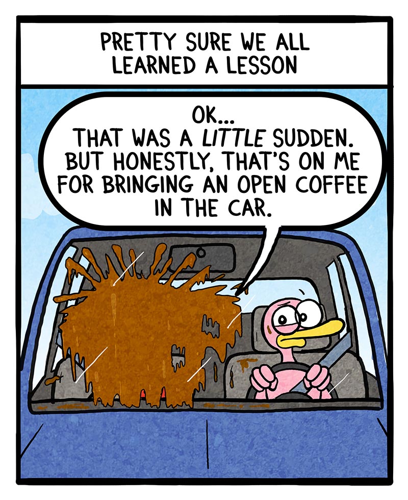 https://cdn-dev.tinyview.com/fowl-language/2024/09/23/first-driving-lesson/First-driving-lesson-2.jpg