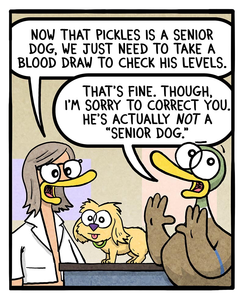 https://cdn-dev.tinyview.com/fowl-language/2024/11/15/senior-dog/Senior-dog-1.jpg
