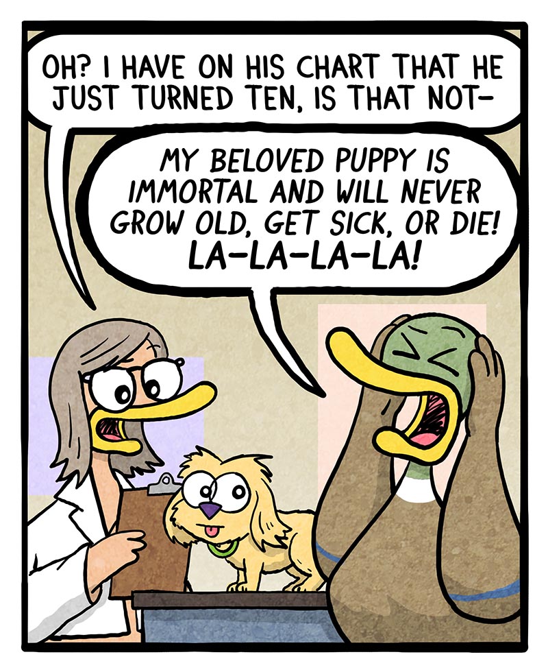 https://cdn-dev.tinyview.com/fowl-language/2024/11/15/senior-dog/Senior-dog-2.jpg