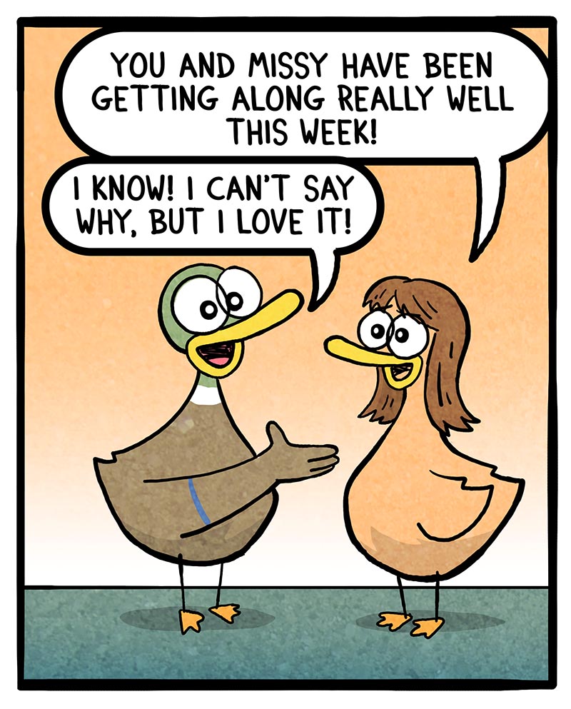 https://cdn-dev.tinyview.com/fowl-language/2024/11/18/getting-along/Getting-along-1.jpg