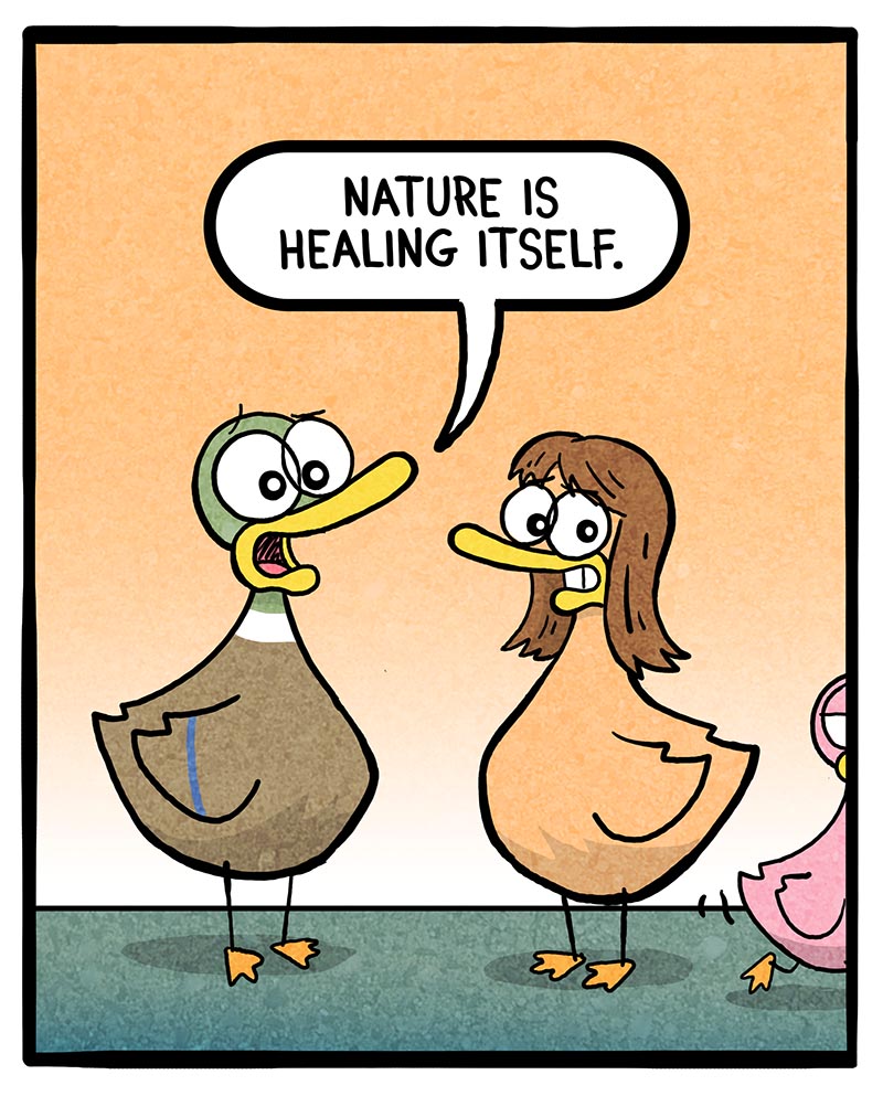 https://cdn-dev.tinyview.com/fowl-language/2024/11/18/getting-along/Getting-along-4.jpg