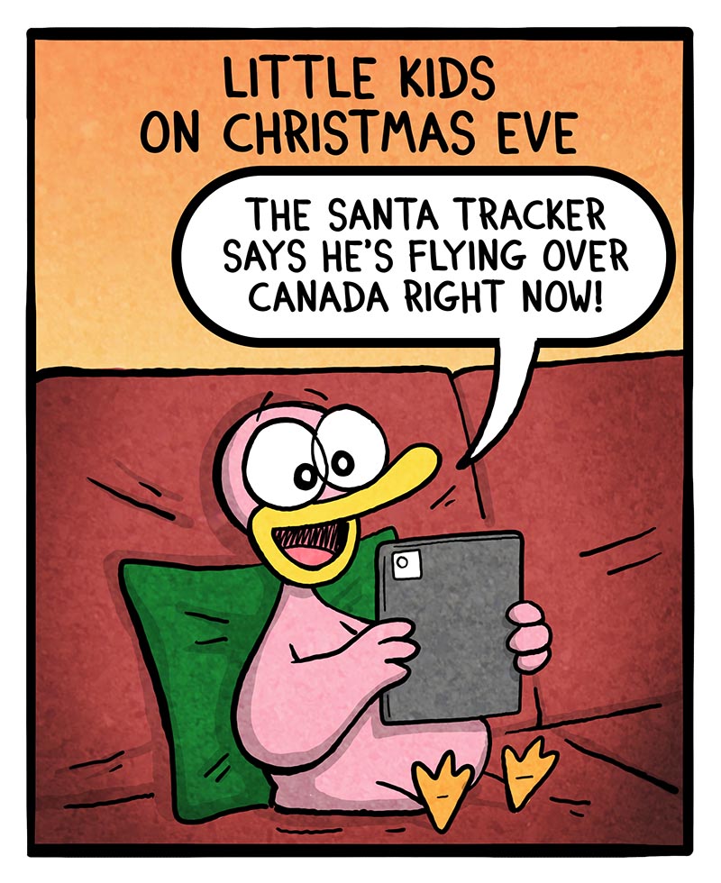 https://cdn-dev.tinyview.com/fowl-language/2024/12/20/tracking-santa/tracking-santa-1.jpg