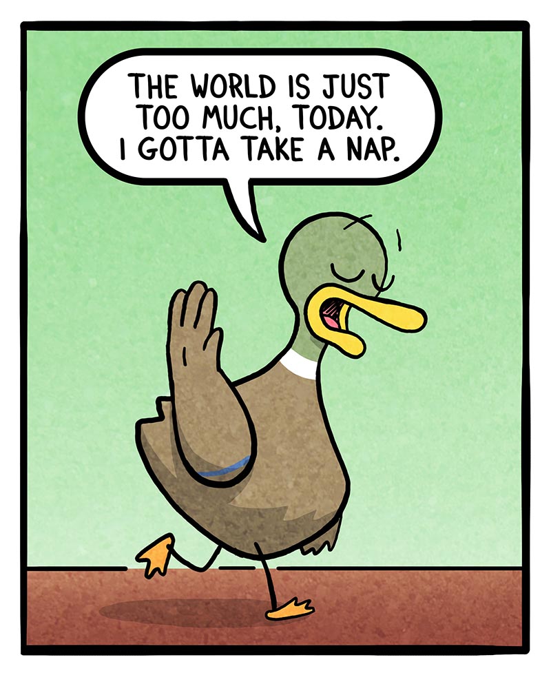 https://cdn-dev.tinyview.com/fowl-language/2025/02/14/time-for-a-nap/time-for-a-nap-1.jpg