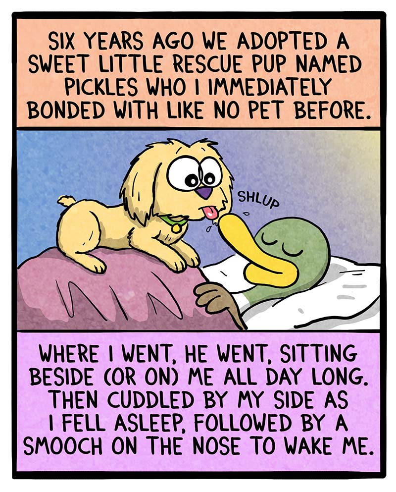 https://cdn-dev.tinyview.com/fowl-language/2025/02/24/sick-puppy/sick-puppy-1.jpg