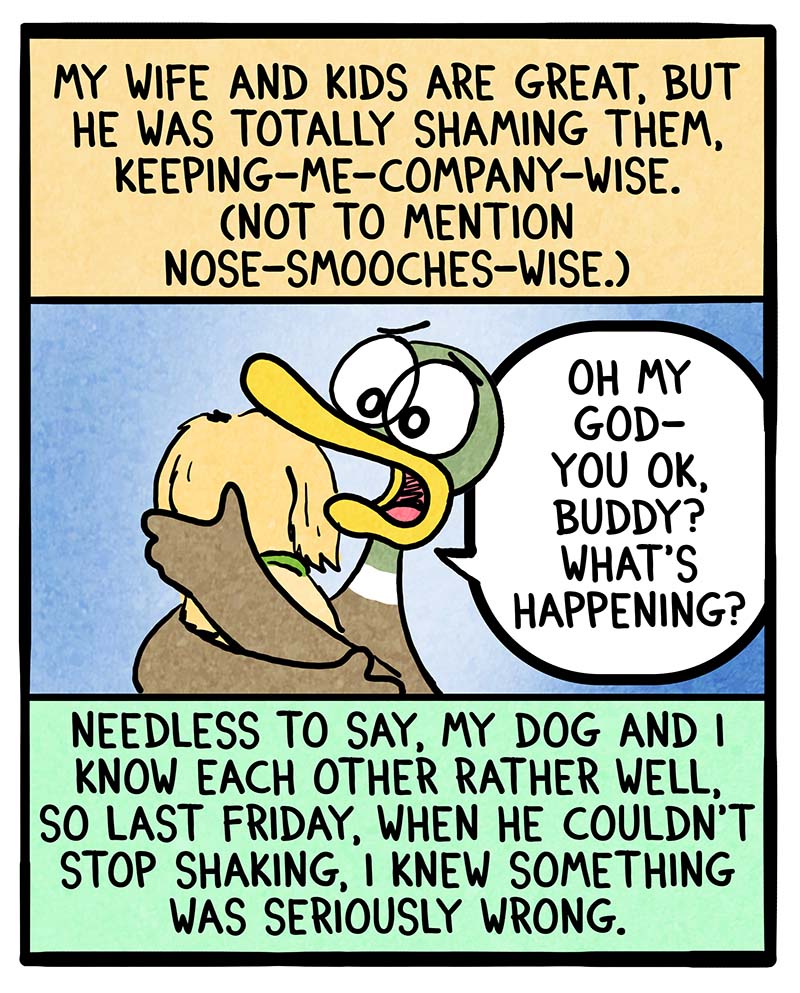 https://cdn-dev.tinyview.com/fowl-language/2025/02/24/sick-puppy/sick-puppy-2.jpg