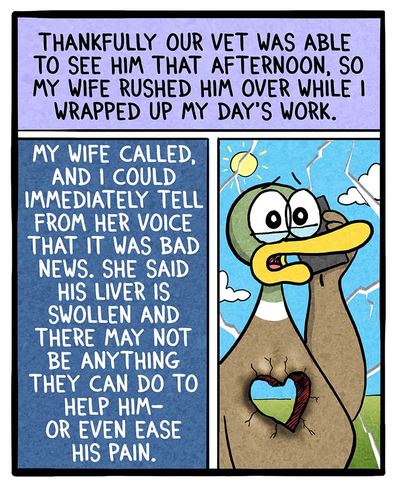 https://cdn-dev.tinyview.com/fowl-language/2025/02/24/sick-puppy/sick-puppy-3.jpg