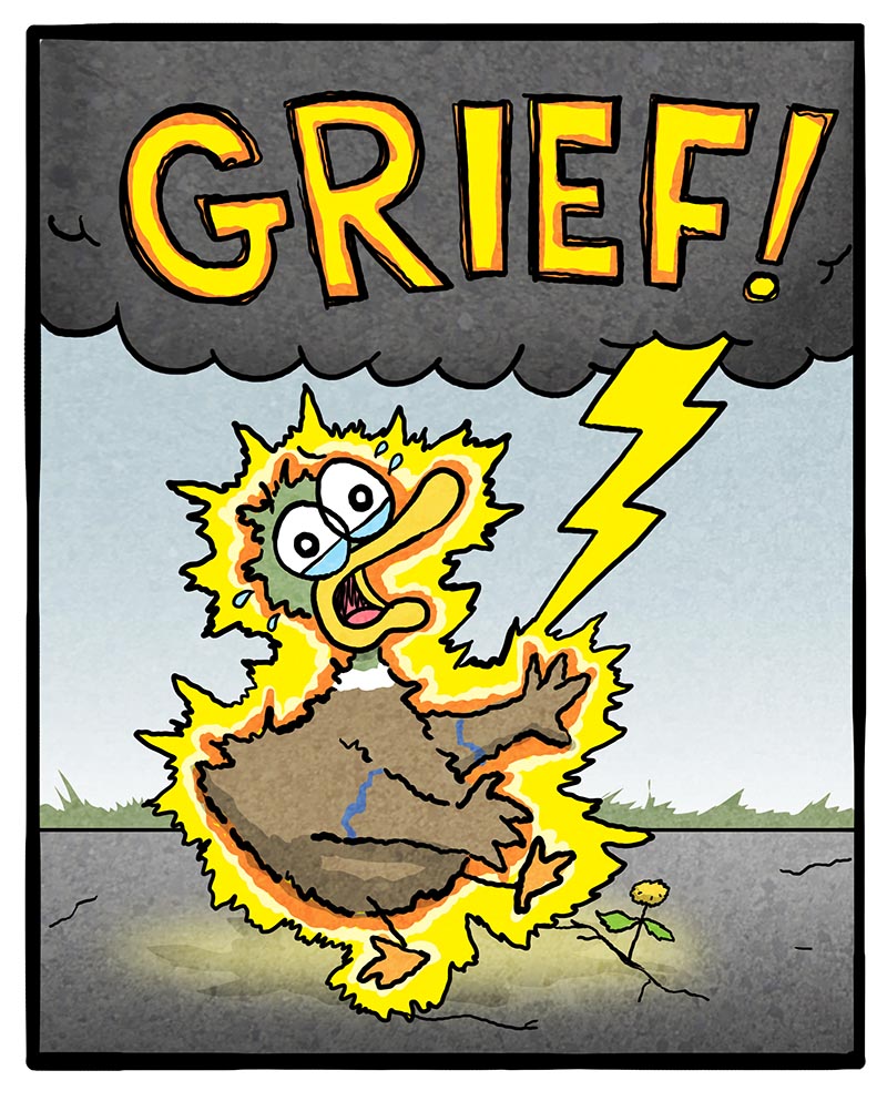 https://cdn-dev.tinyview.com/fowl-language/2025/02/28/how-grief-works/how-grief-works-3.jpg