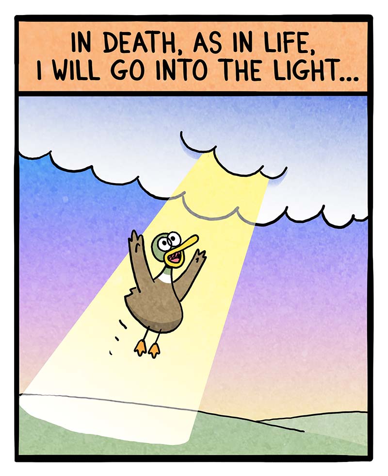 https://cdn-dev.tinyview.com/fowl-language/2025/07/02/into-the-light/into-the-light-1.jpg
