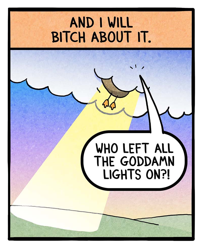 https://cdn-dev.tinyview.com/fowl-language/2025/07/02/into-the-light/into-the-light-2.jpg