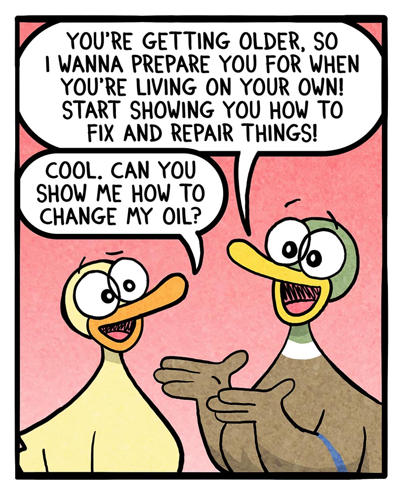 https://cdn-dev.tinyview.com/fowl-language/2025/09/08/teaching-them-skills/teaching-them-skills-1.jpg