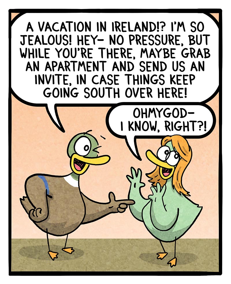 https://cdn-dev.tinyview.com/fowl-language/2026/03/01/ireland/ireland-1.jpg