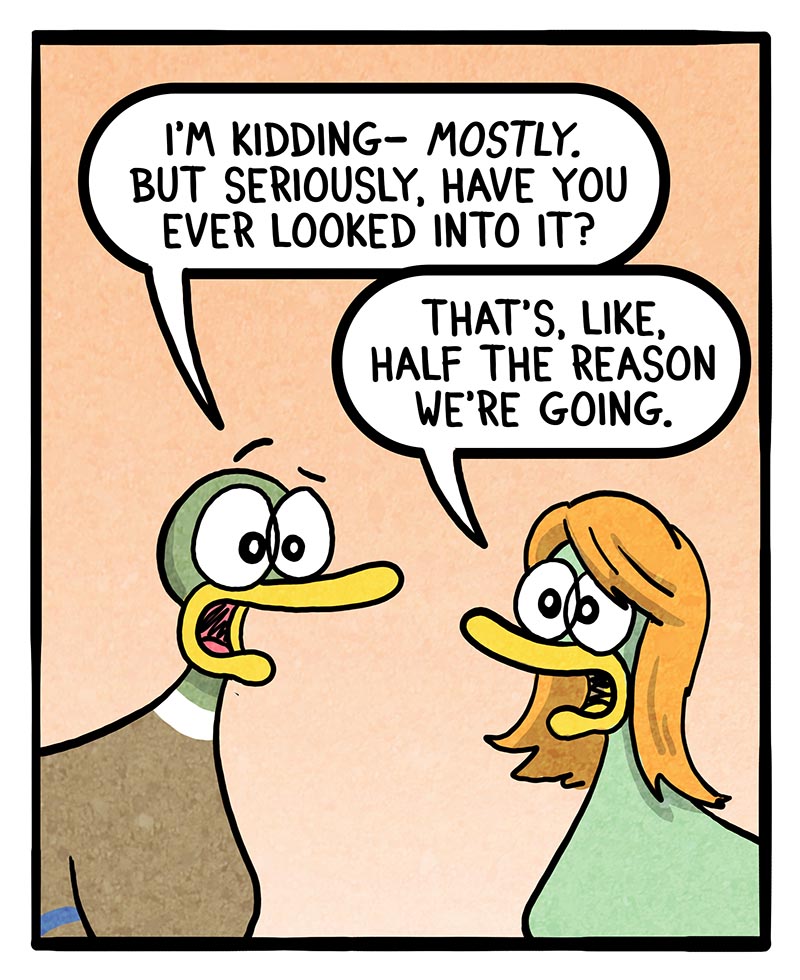 https://cdn-dev.tinyview.com/fowl-language/2026/03/01/ireland/ireland-2.jpg