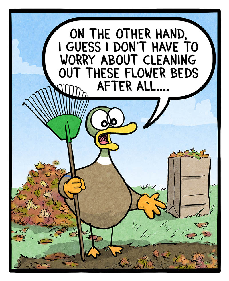 https://cdn-dev.tinyview.com/fowl-language/2026/04/07/staying-positive/staying-positive-2.jpg