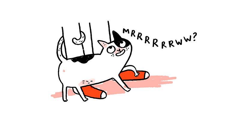 https://cdn-dev.tinyview.com/gemma/2021/12/01/my-new-cat-friend/1.jpg