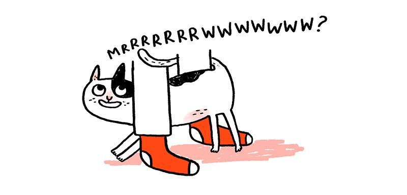 https://cdn-dev.tinyview.com/gemma/2021/12/01/my-new-cat-friend/2.jpg