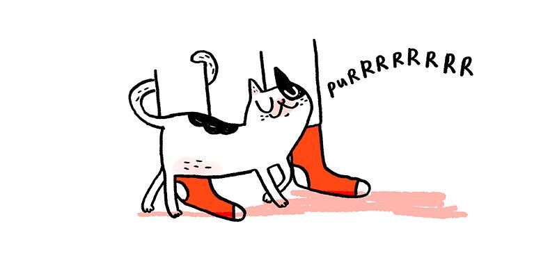 https://cdn-dev.tinyview.com/gemma/2021/12/01/my-new-cat-friend/3.jpg
